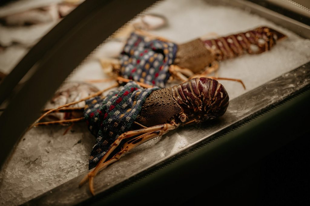 266707505_4842325185837345_4161829942948962353_n